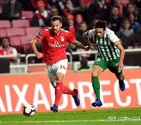 雷速体育直播入口-波尔多尴尬失分，战绩不尽人意的简单介绍