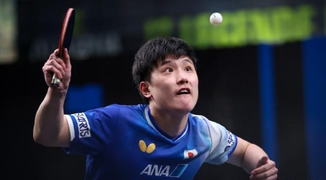 葡萄牙队绝杀波兰队,张本智和扛起全队的简单介绍 葡萄牙队绝杀波兰队,张本智和扛起全队的简单介绍