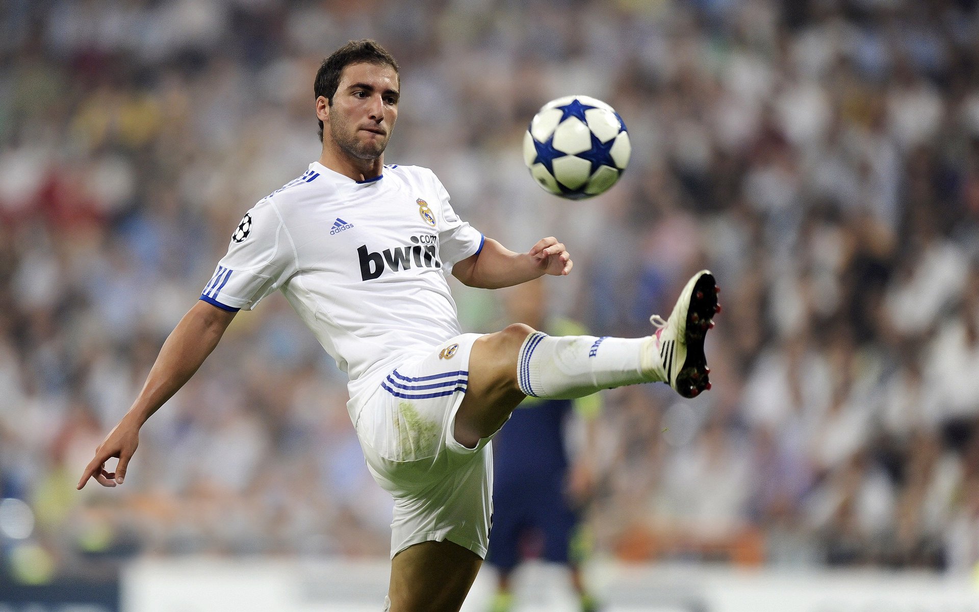 莱万爆发与新西兰奇迹，足球世界里的唯一性证明